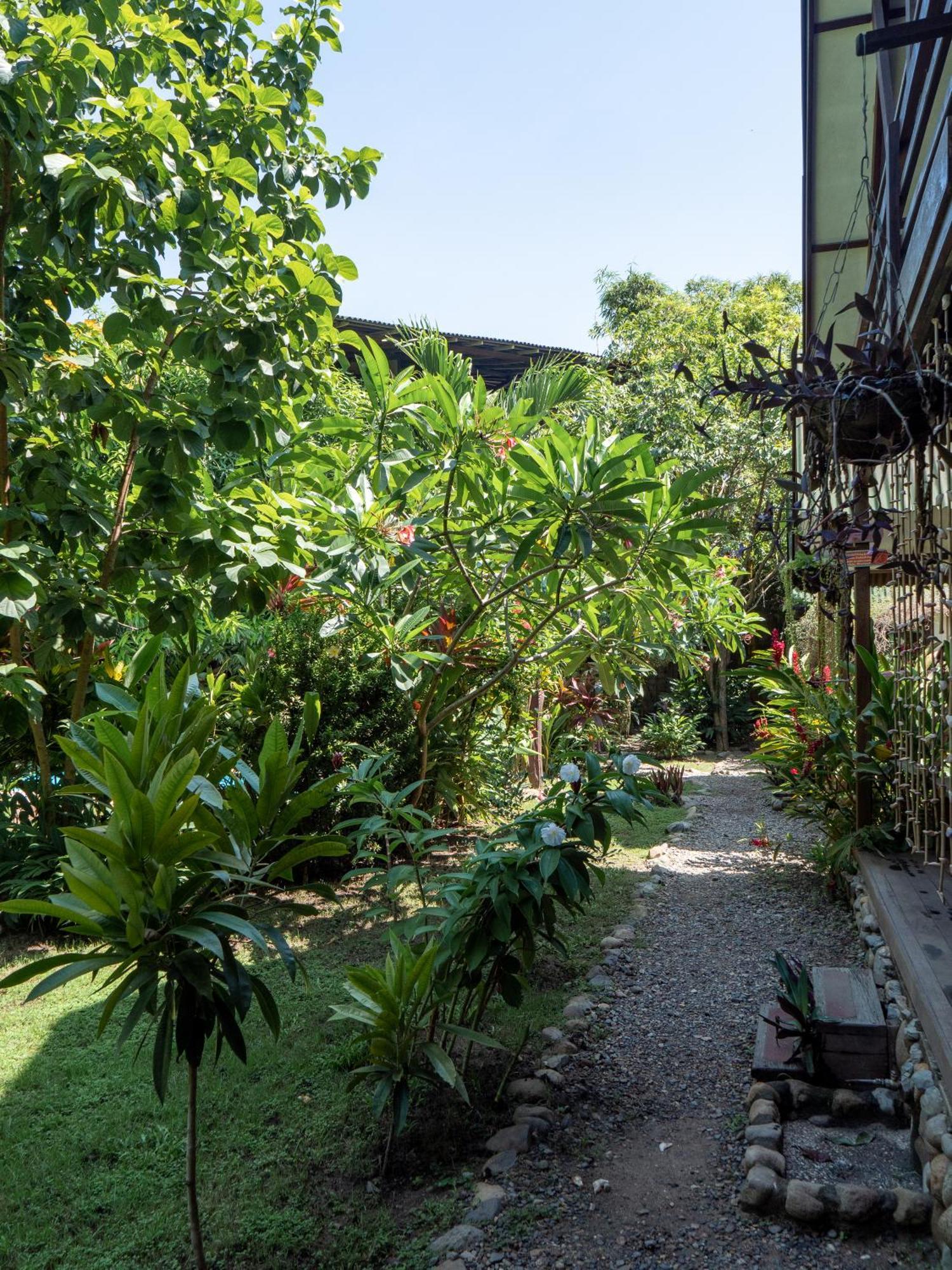 Nuba Boutique Hostel Palomino Kültér fotó